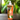 Cocopulp Shower Gel 1000ml